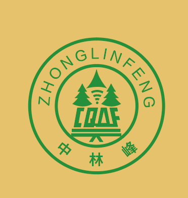 Zhong Lin Feng